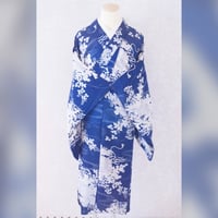 濃い青　貝桶　夏草　アンティーク絽着物