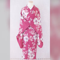赤　撫子　萩　アンティーク絽着物