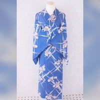 青　あやめ　涼やか　アンティーク絽着物
