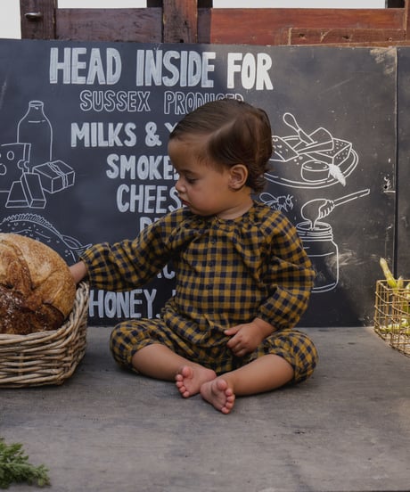 organic zoo/ Blueberry Gingham Onesie