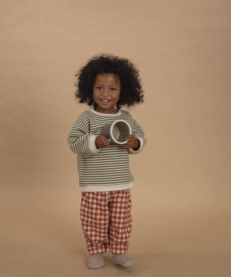 organic zoo/ Fern Stripes Sweatshirt