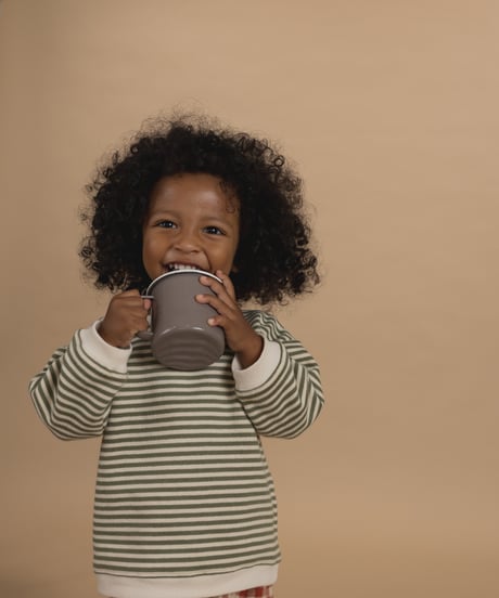 organic zoo/ Fern Stripes Sweatshirt