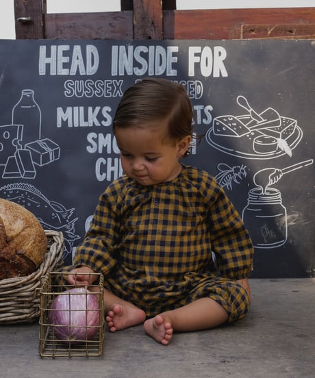 organic zoo/ Blueberry Gingham Onesie