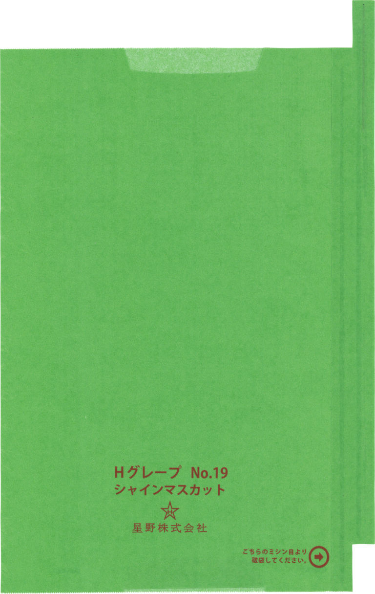 シャインマスカット(グリーン) No.19 防虫/防菌 段有 (3,000枚入) 200×29...