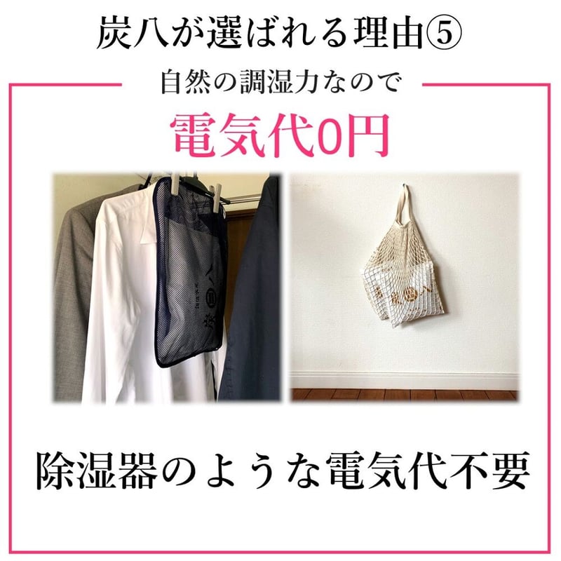炭八 除湿剤 湿気 消臭 出雲 ミニ 2本入りセット タンス 玄関 靴