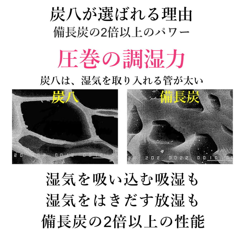 炭八 除湿剤 床下 消臭 脱臭 乾燥 湿気対策 調湿 出雲 8畳用 48袋