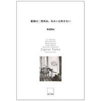 絵画は二度死ぬ、あるいは死なない 第６集： Sigmar Polke　ジグマー・ポルケ