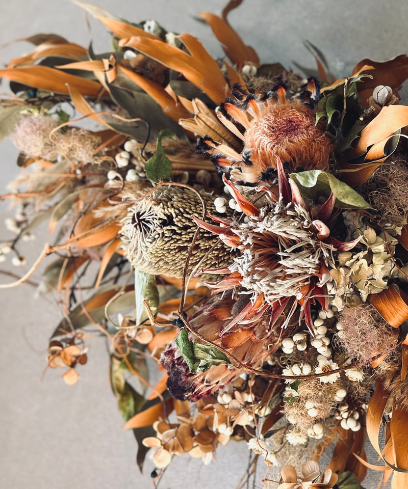 ドライフラワー壁掛けアレンジ】 | ドライフラワー NEWCONNECT