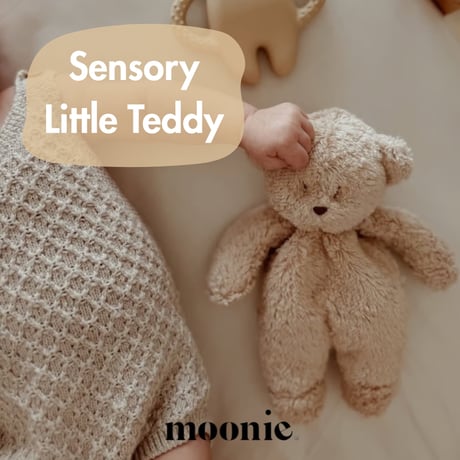 Sensory Little Teddy / moonie [ムーニー 洗える ぬいぐるみ ベビー ファーストトイ クマ オーガニックコットン]