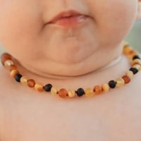 Amber Teething Necklace [ Mix ] / Amber  [teething necklace 琥珀 ベビー アンバー ネックレス ]