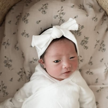 Organic Baby Headband / Hippo + Birds [ベビー ヘッドバンド 出産準備 お宮参り ポインテル]