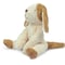 Floppy Animal Dog  WHITE＆BEIGE ( Small ) / SENGER Naturwelt  [ファーストトイ オーガニック 洗える ぬいぐるみ イヌ 出産祝い 赤ちゃん]