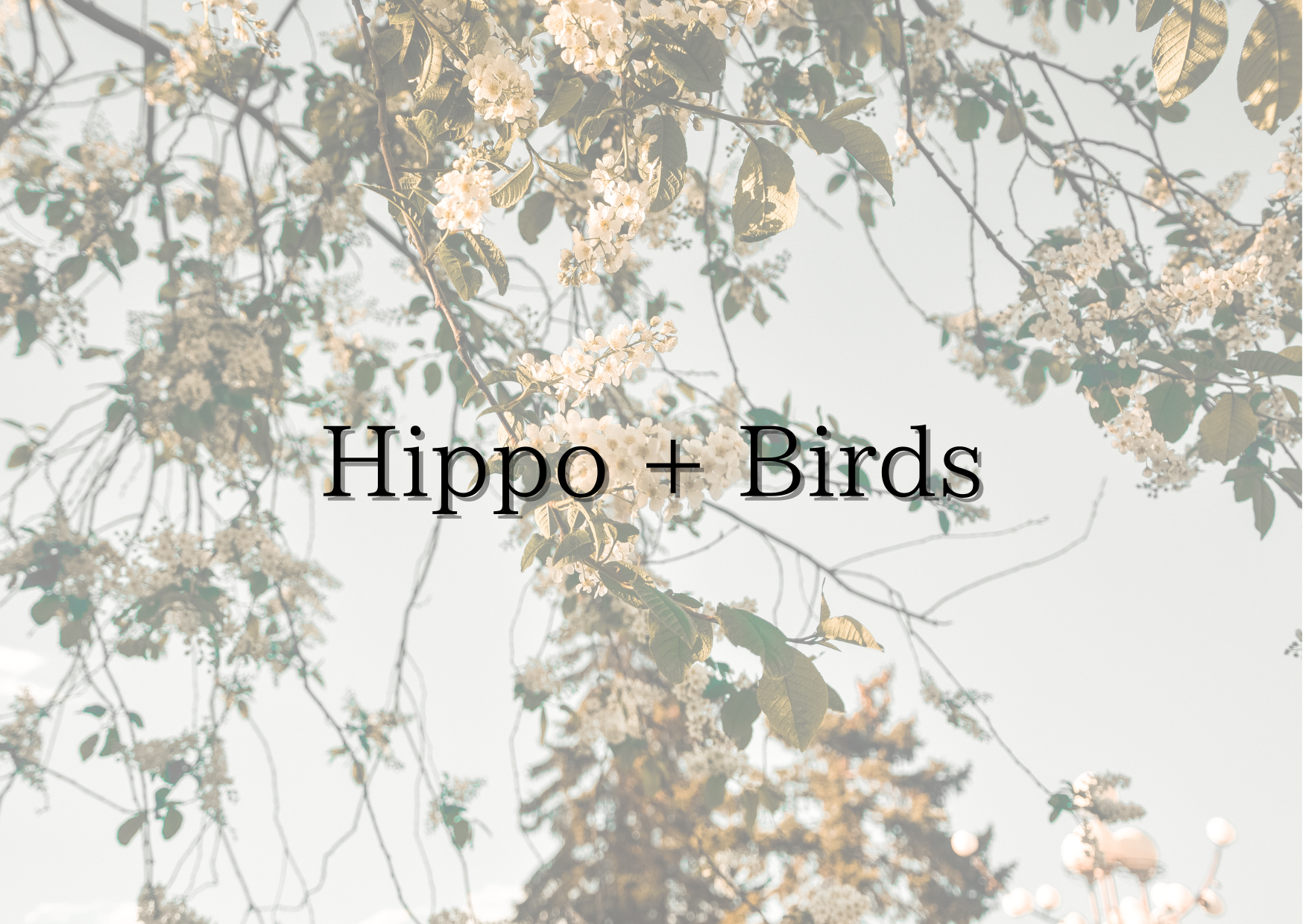 ボルガクーファン & ベビー,キッズアイテム - Hippo + Birds - 正規販売店