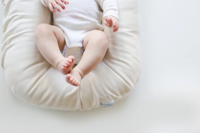 スナグルミー　snuggle me  ベビーネスト　カバー本体セット Infant Lounger + Cover Set [ birch ] / snuggle