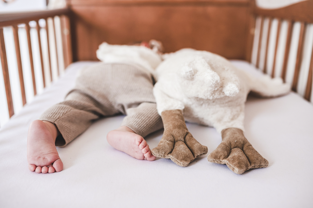 Cuddly Animal Goose ( White Large ) / Senger Na