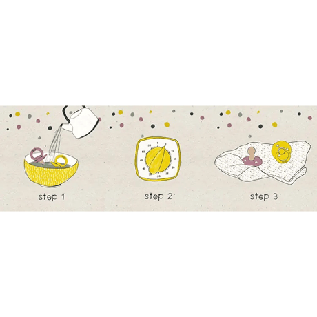 Colour [ Sage ] / BIBS   [おしゃぶり ビブス 赤ちゃん ベビー用品]