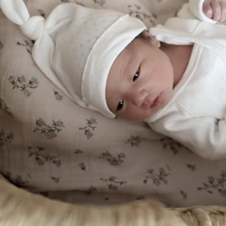 Organic Baby Hat / Hippo + Birds  [ベビー ハット 新生児 出産準備 退院着 お宮参り ポインテル]