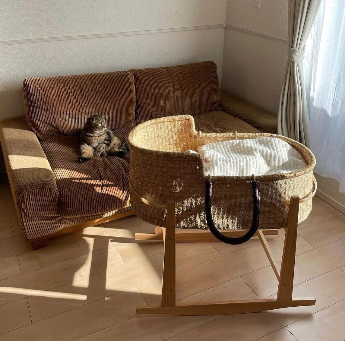 Moses Basket [ Hooded / Natural+Brown ] / Hippo