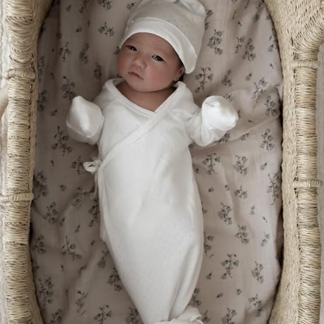Organic Baby Hat / Hippo + Birds  [ベビー ハット 新生児 出産準備 退院着 お宮参り ポインテル]