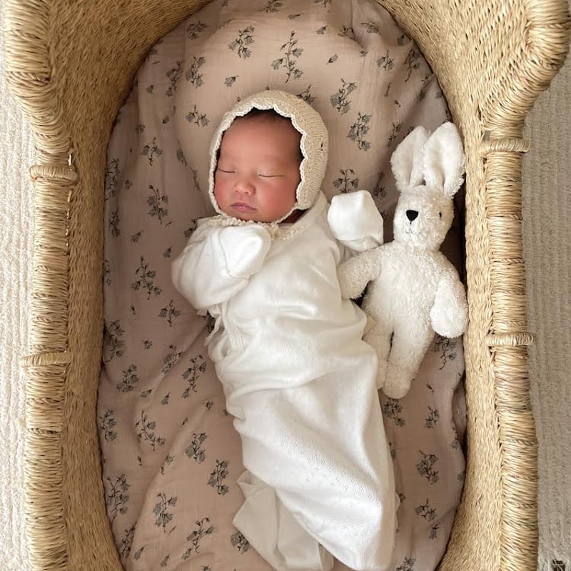 Moses Basket [ Hooded / Natural+Beige ] / Hippo