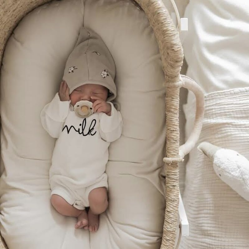 Moses Basket [ Hooded / Tri+Black&Beige ] / Hip