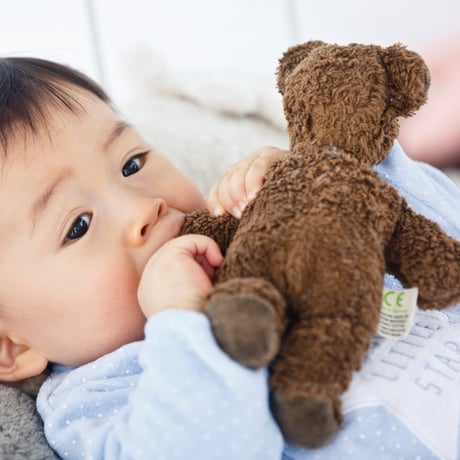 Animal Baby Bear BROWN  / SENGER Naturwelt  [ファーストトイ オーガニック 洗える ぬいぐるみ  出産祝い ベビー 赤ちゃん こども ギフト]