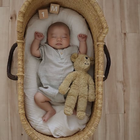 [ご予約] Moses Basket [ Hooded / Brown ] / Hippo + Birds     [ボルガ クーファン ベビーベッド クーファン]