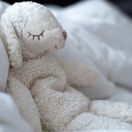 Cuddly Animal Sheep ( Small ) / SENGER Naturwelt  [ ファーストトイ 羊 洗える ぬいぐるみ ゼンガーナチュウェルト 出産祝い]