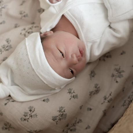 Organic Baby Hat / Hippo + Birds  [ベビー ハット 新生児 出産準備 退院着 お宮参り ポインテル]