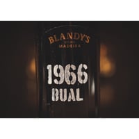 ブランディーズ ヴィンテージ ブアル 1966 (中甘口)