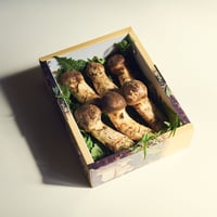 山形県置賜産　松茸つぼみ特撰詰合せ