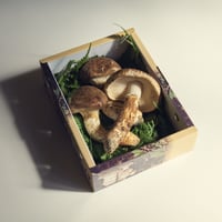 山形県置賜産　松茸ひらき詰合せ