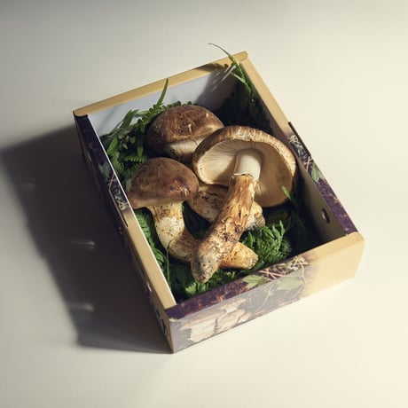 信州木曽産　松茸250グラム 信州木曽産 松茸250グラム