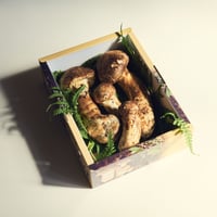 山形県置賜産　松茸つぼみ（中、大）詰合せ