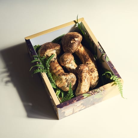 たねや商店オンラインストア