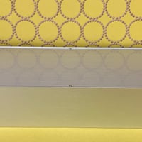 オーディオラボ製　LCR型 MC専用フォノイコライザ（信号用/電源用アクティブトロン内蔵）