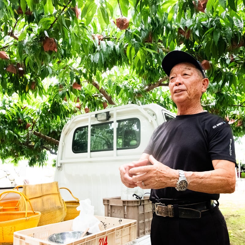 古屋農園さんの桃 3kg・4kg（山梨県笛吹市御坂町産） | はちどり