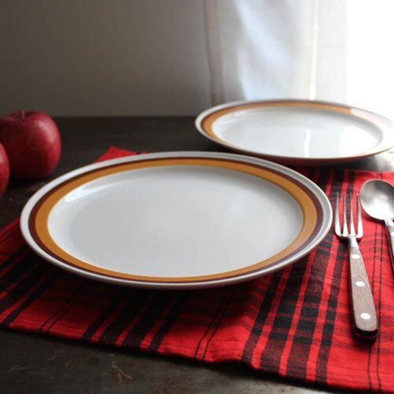 テラコッタ大皿　【未使用品】 ストーンウェア ディナープレート／大皿 ブラウンライン 27cm