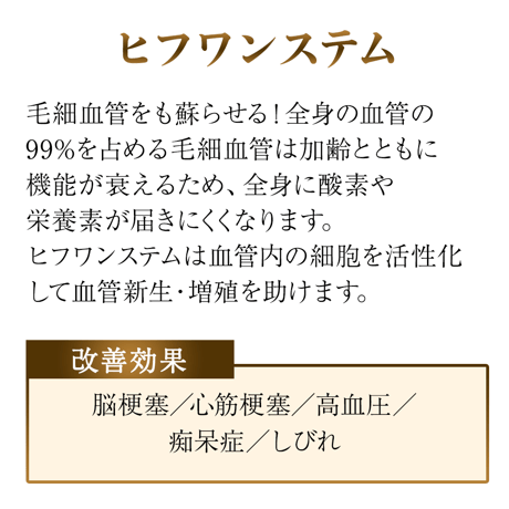 ステリア