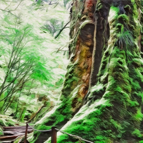 Yakushima   KUNKUN  scents of mana