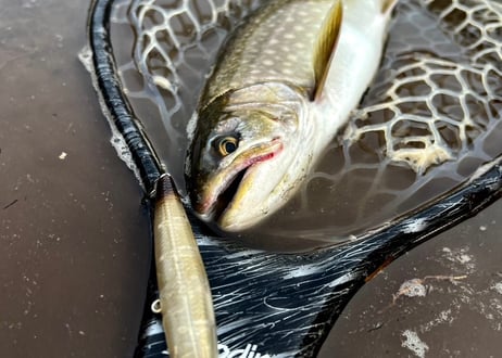 Slide Bait Heavy One 90mm 28g