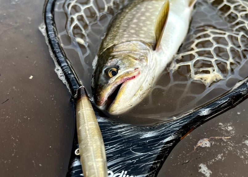 Slide Bait Heavy One 90mm 28g | SKAGIT WEBSHOP