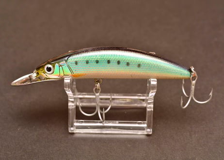 CATEGORY Native Trout［ネイティブトラウト］ | SKAGIT WEBSHOP