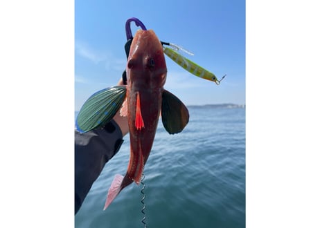 Keel Jig 24g｜SLJ対応 軽快スイミングジグ