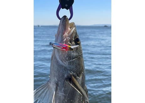 I.B.Minnow Jet Joint 83mm 10g｜流れを探る実戦型ジョイントミノー