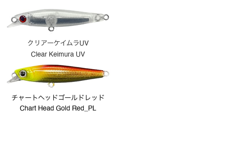 Lip Slide 60mm 13g Sinking | SKAGIT WEBSHOP