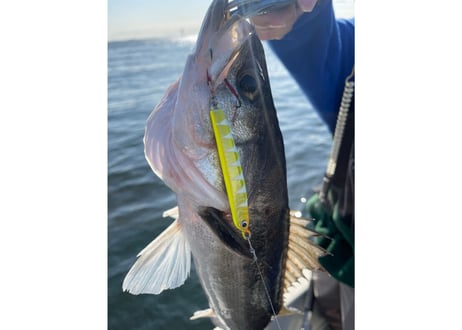 Keel Jig 24g｜SLJ対応 軽快スイミングジグ