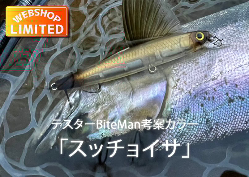 Slide Bait Heavy One 90mm 28g | SKAGIT WEBSHOP