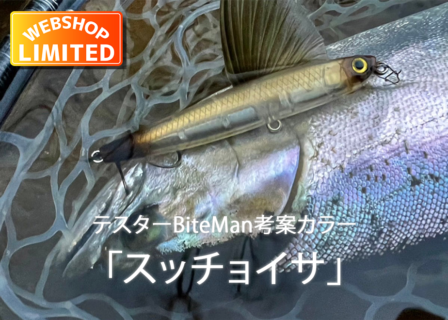 ⑨ブルーブルー スライドベイトヘビーワン 90mm 未使用 限定品 ⑨ブルーブルー スライドベイトヘビーワン 90mm 未使用 限定品