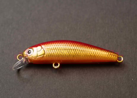 SKAGIT WEBSHOP SKAGIT WEBSHOP